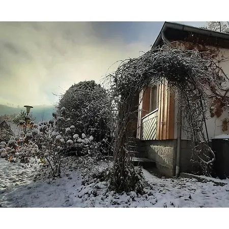 In Harz With 2 Bedrooms Ilsenburg