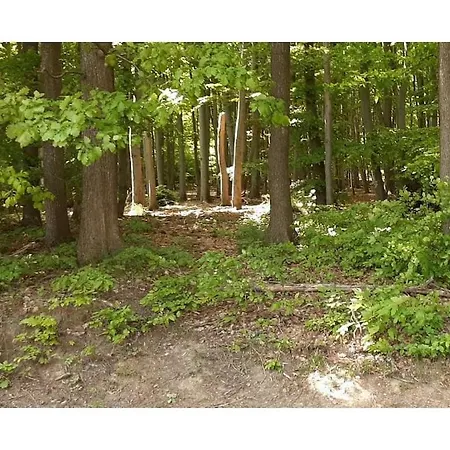 In Harz With 2 Bedrooms Feriehus *