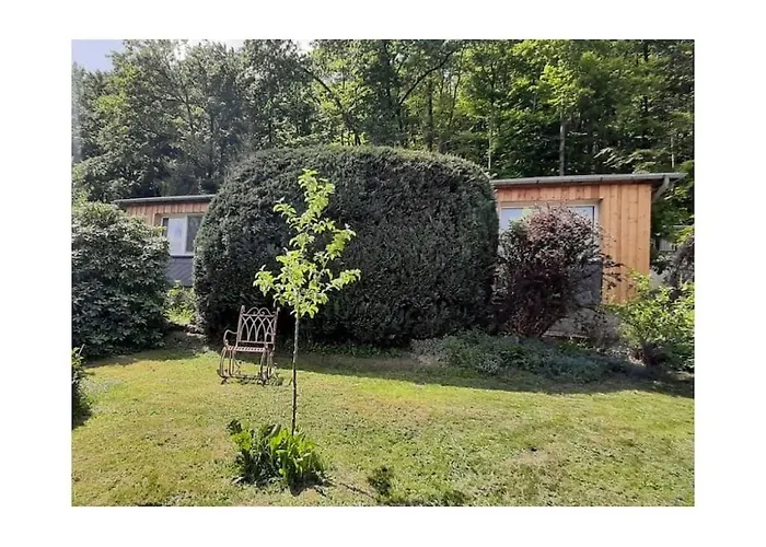 In Harz With 2 Bedrooms * 伊尔森堡