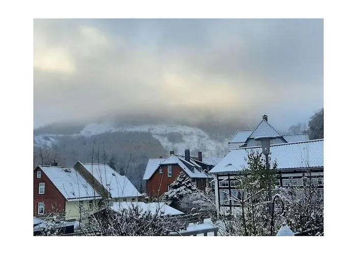 In Harz With 2 Bedrooms Ilsenburg