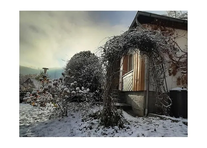 In Harz With 2 Bedrooms 伊尔森堡