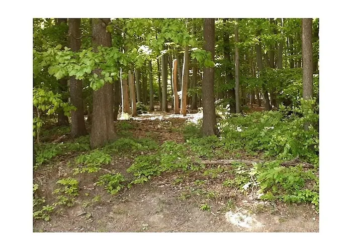 In Harz With 2 Bedrooms 度假居 *